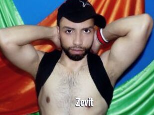 Zevit